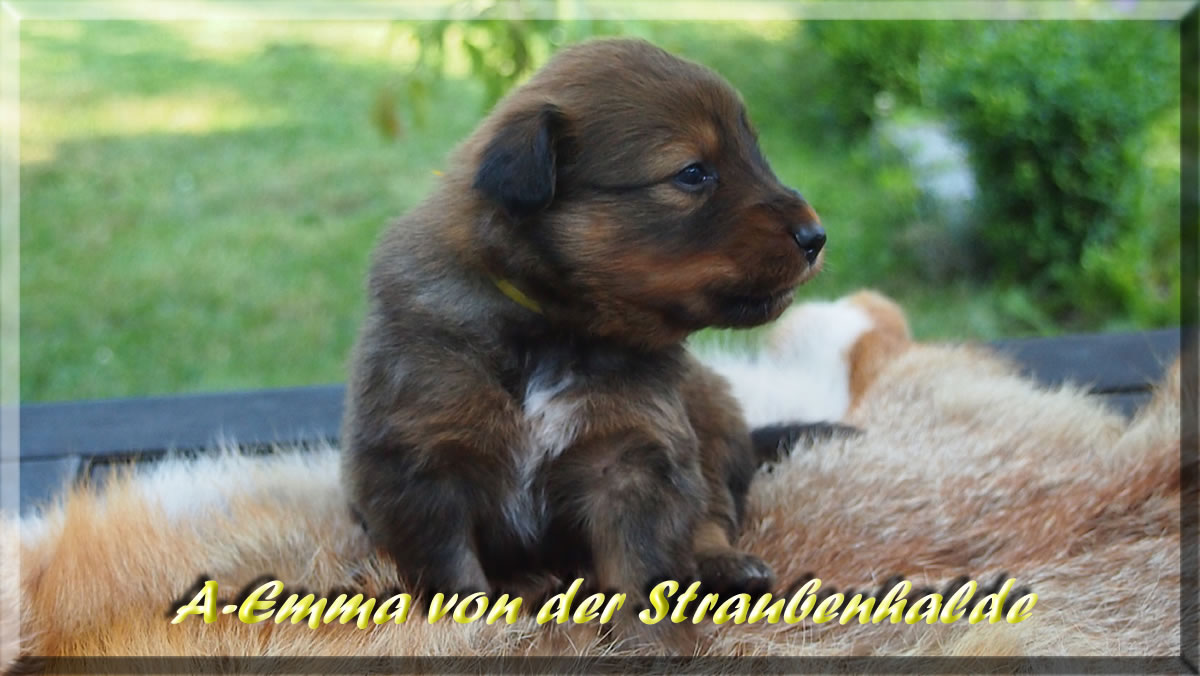 A-Emma-von-der-Straubenhalde