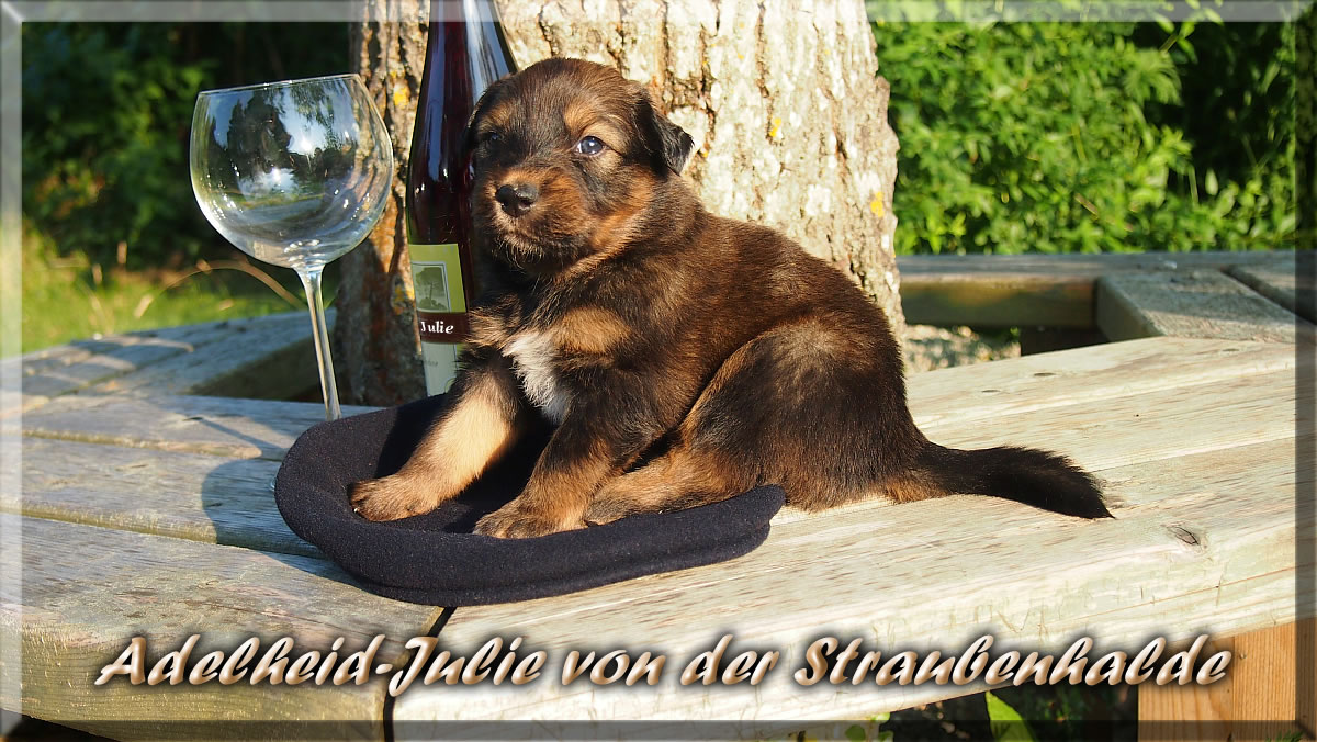 Anuk-Murphy-von-der-Straubenhalde