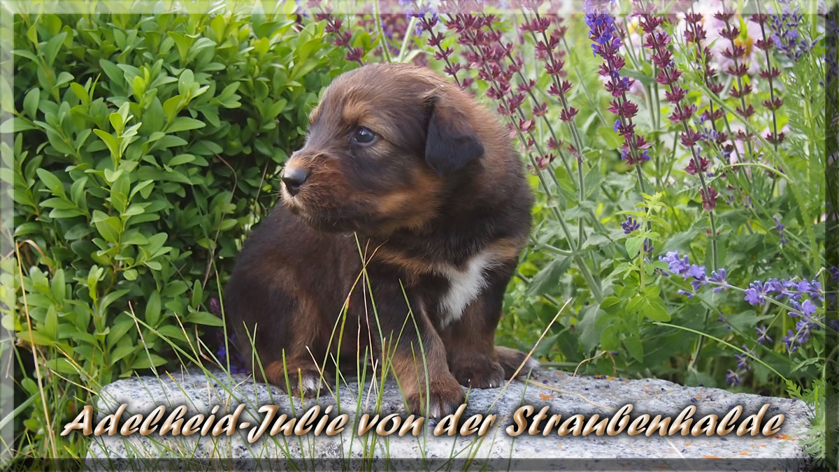 Anuk-Murphy-von-der-Straubenhalde