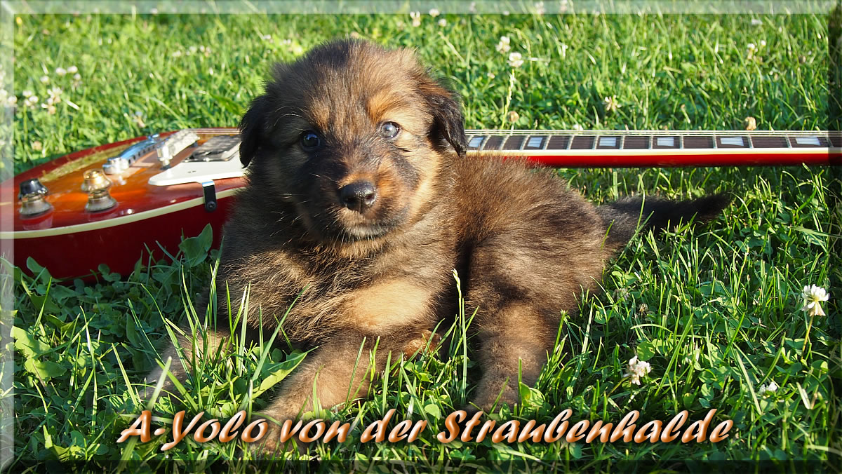 A-Yolo-von-der-Straubenhalde