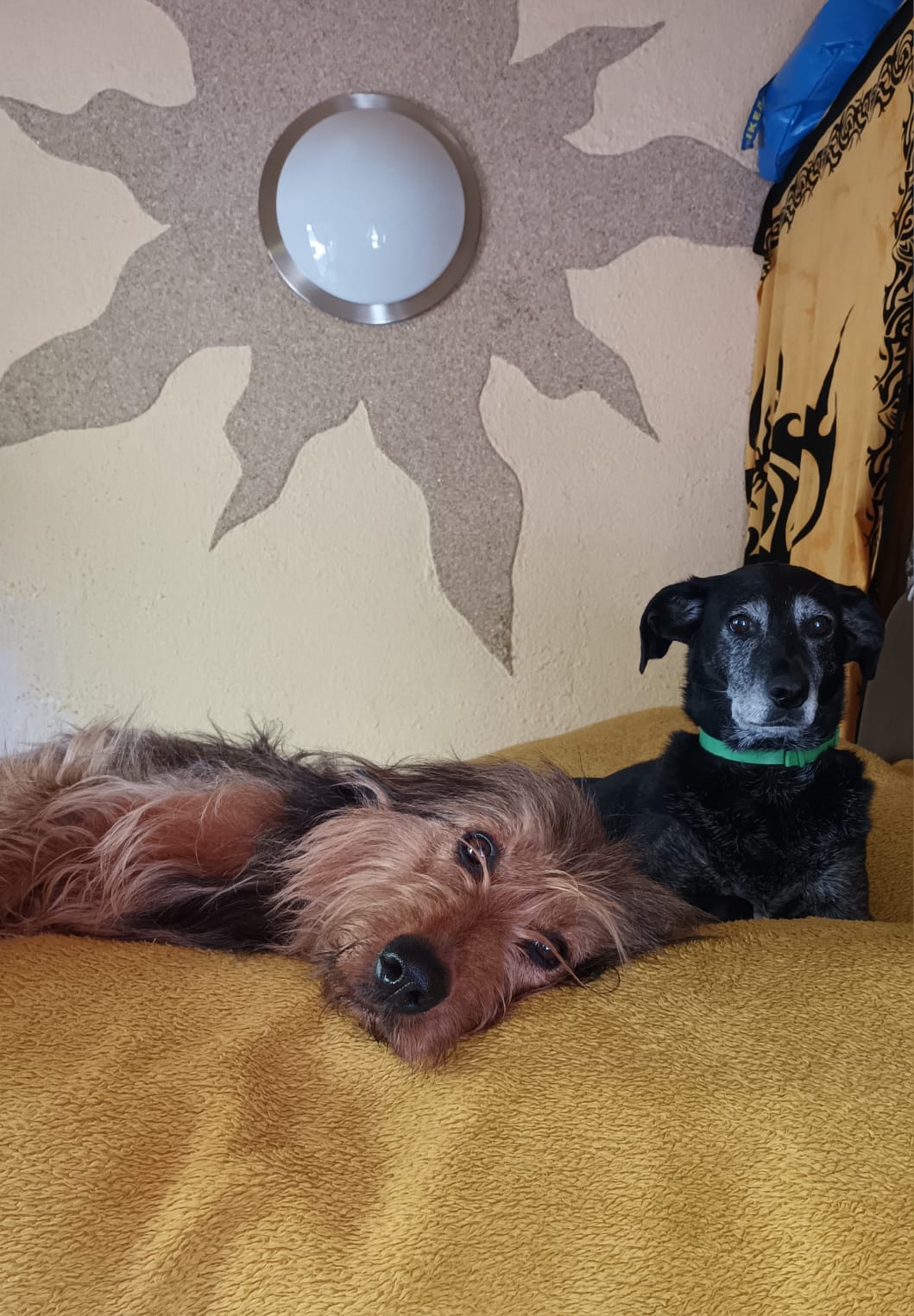 Wäller von der Straubenhalde