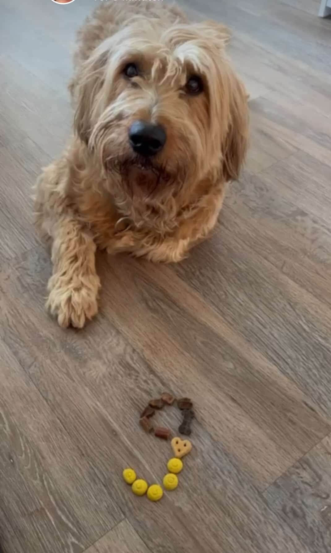 W&auml;ller von der Straubenhalde