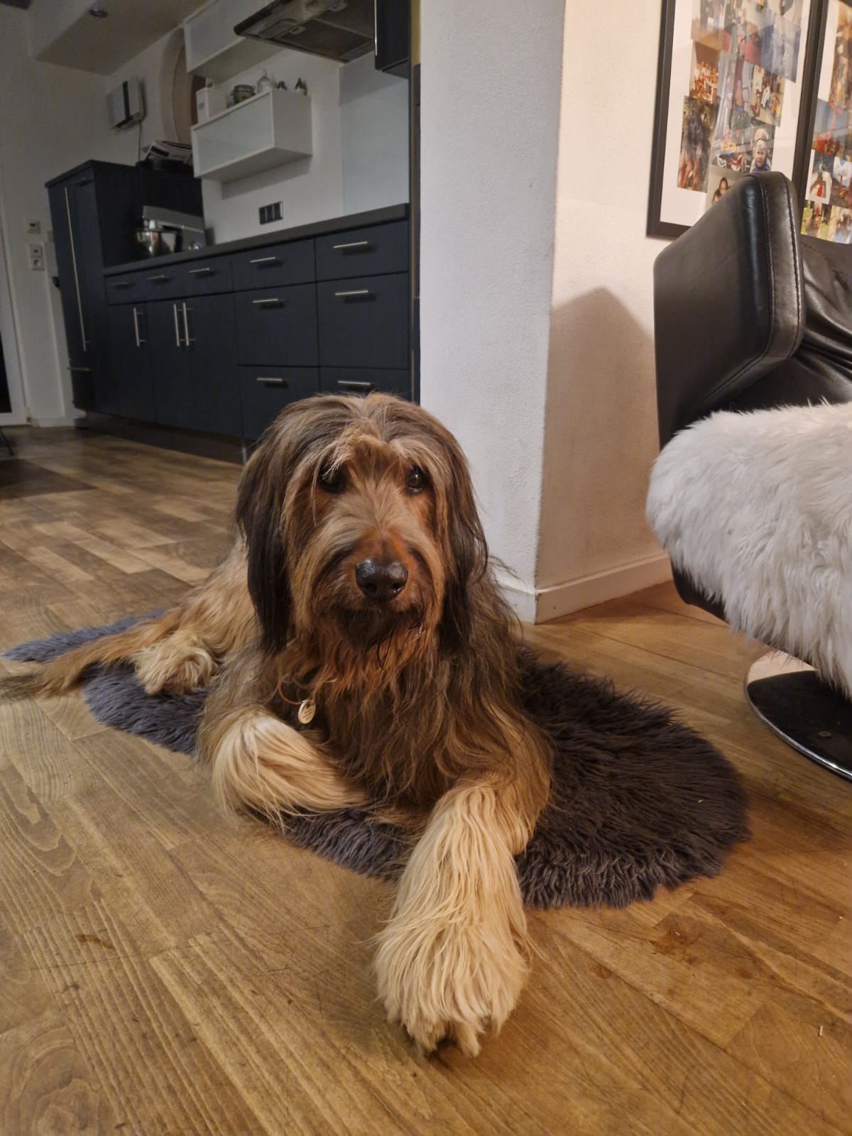 W&auml;ller von der Straubenhalde