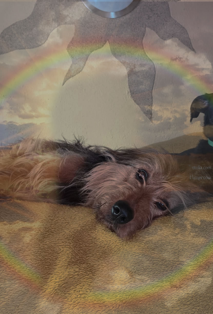 W&auml;ller von der Straubenhalde