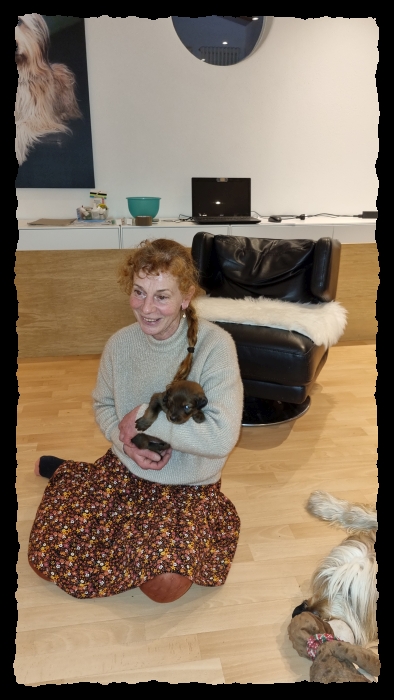 C-Wurf-von-der-Straubenhalde