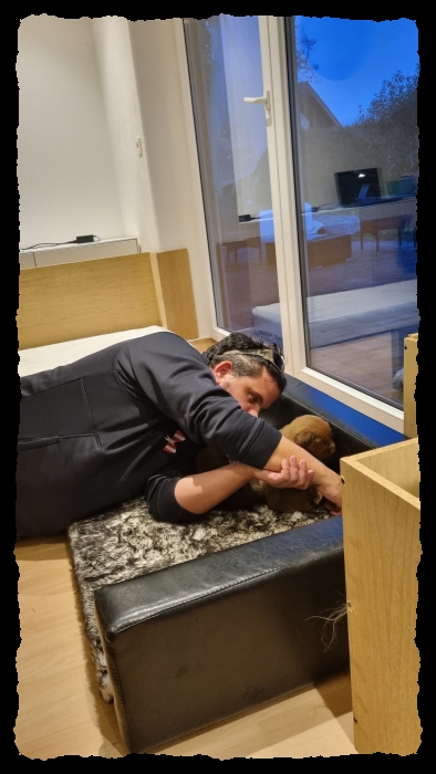 C-Wurf-von-der-Straubenhalde