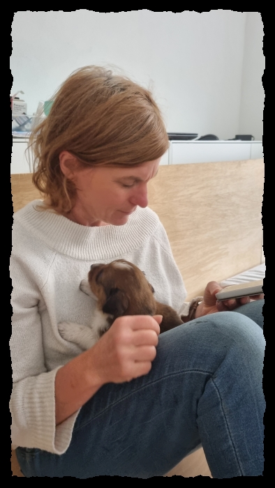 C-Wurf-von-der-Straubenhalde