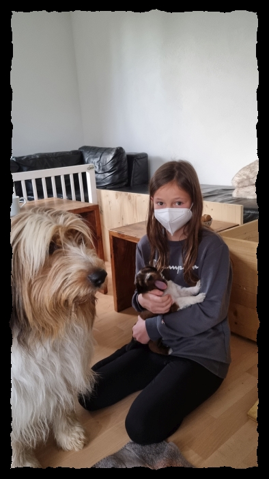 C-Wurf-von-der-Straubenhalde