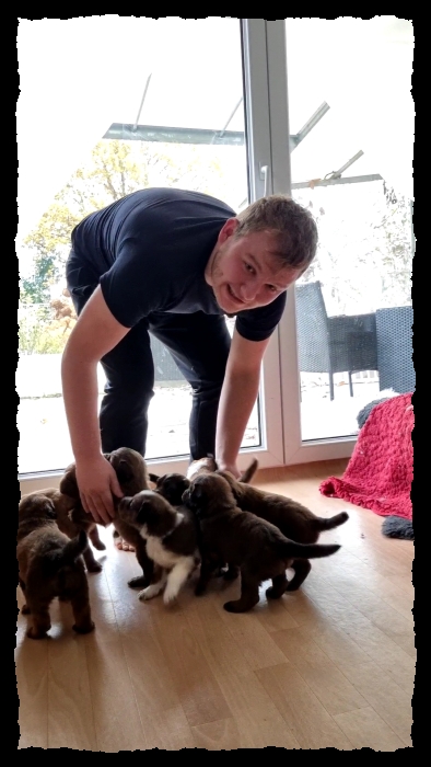 C-Wurf-von-der-Straubenhalde