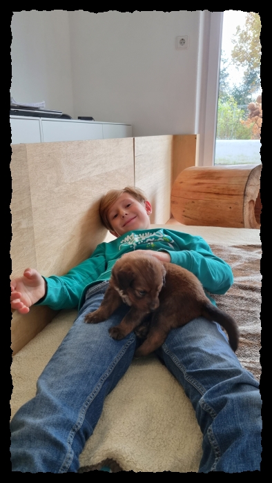 C-Wurf-von-der-Straubenhalde