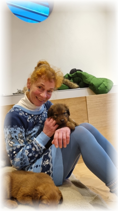 C-Wurf-von-der-Straubenhalde