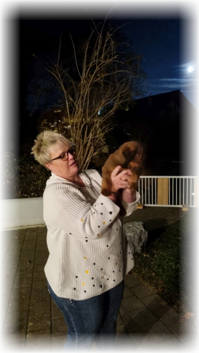 C-Wurf-von-der-Straubenhalde