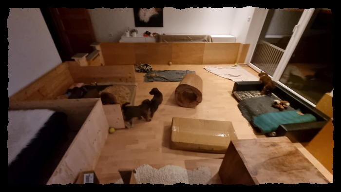 C-Wurf-von-der-Straubenhalde