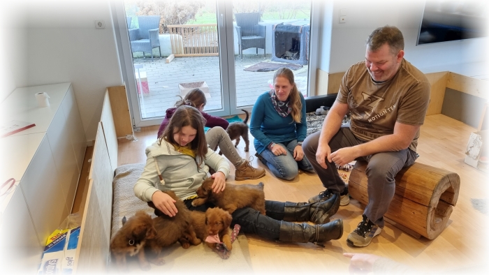 C-Wurf-von-der-Straubenhalde