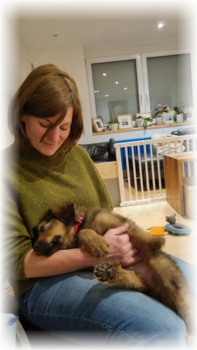 C-Wurf-von-der-Straubenhalde