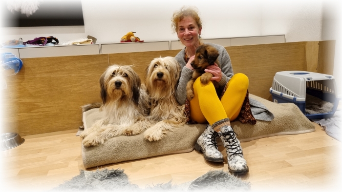 C-Wurf-von-der-Straubenhalde