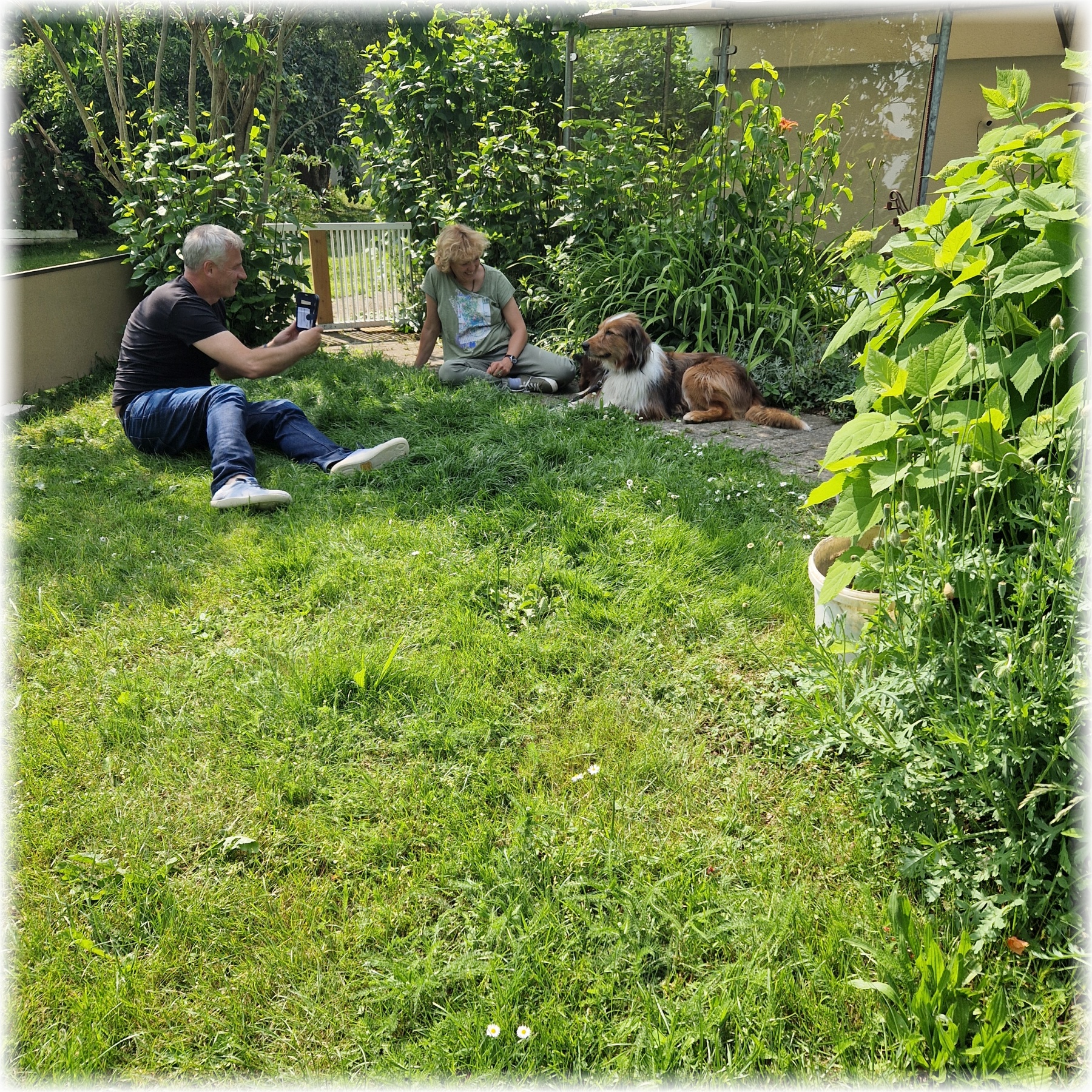 D-Wurf-von-der-Straubenhalde-2025