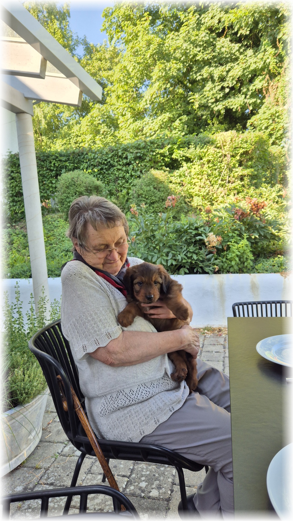 D-Wurf-von-der-Straubenhalde-2025