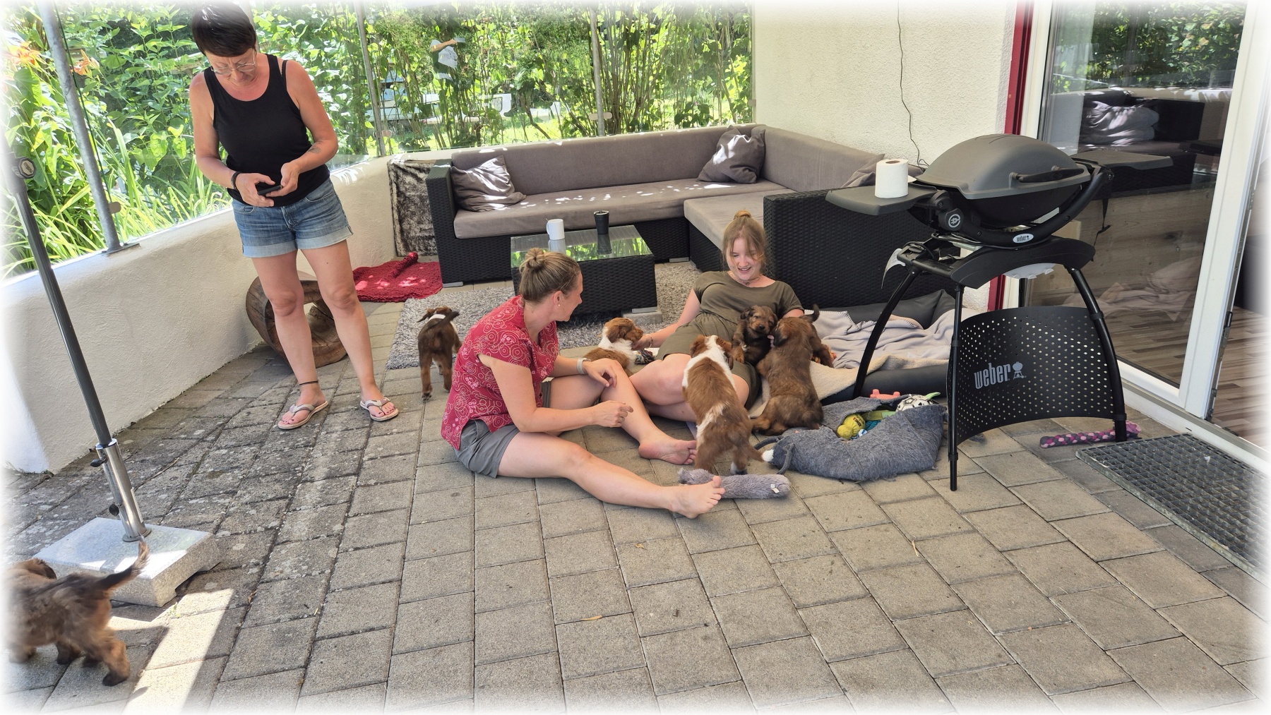 D-Wurf-von-der-Straubenhalde-2025