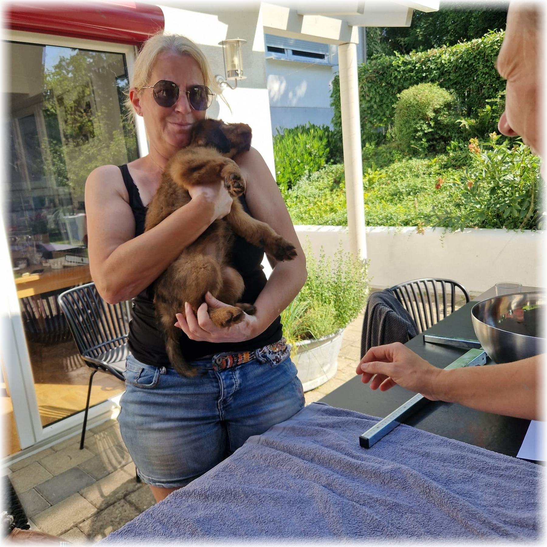 D-Wurf-von-der-Straubenhalde-2025