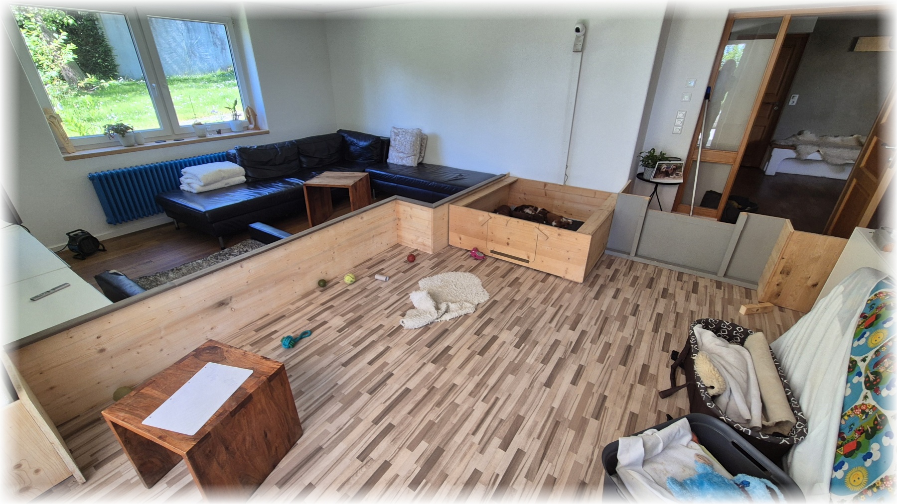 D-Wurf-von-der-Straubenhalde-2025