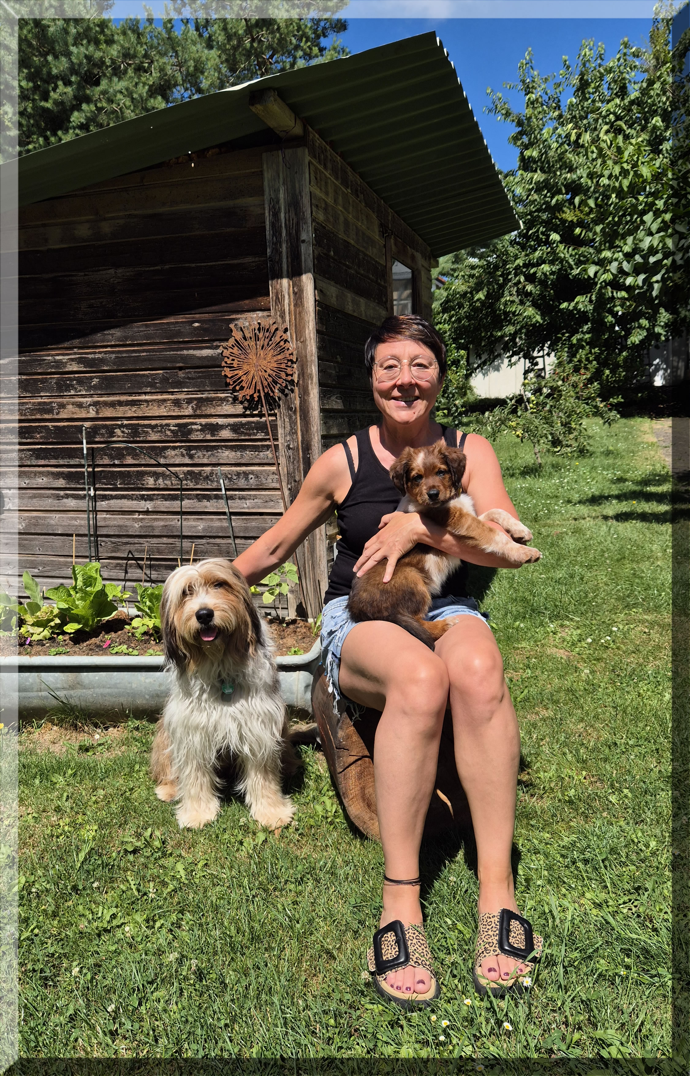 Dara Dynamit von der Straubenhalde